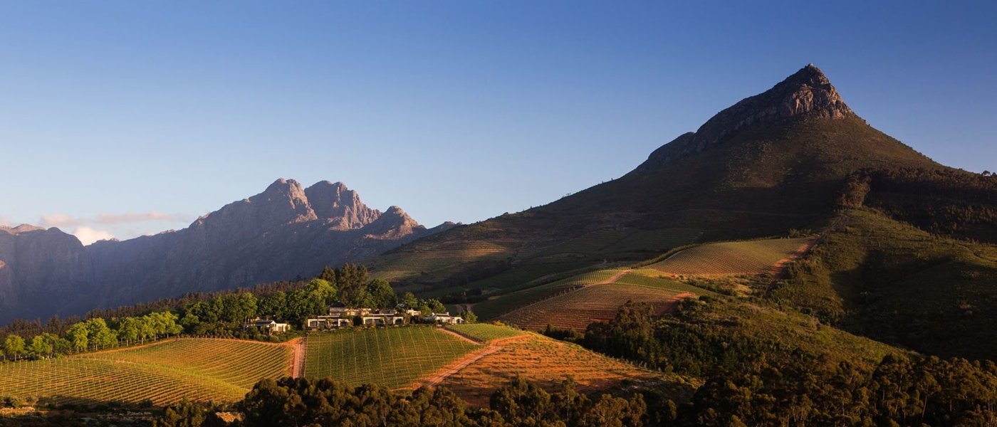 Wineries and wine tours in South Africa - Wine Paths